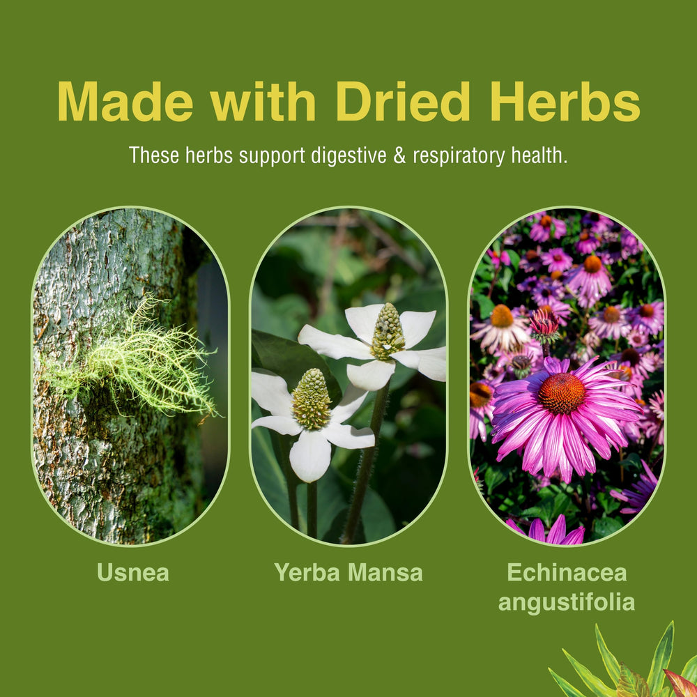 Herbs Etc. Phytocillin packaging box details