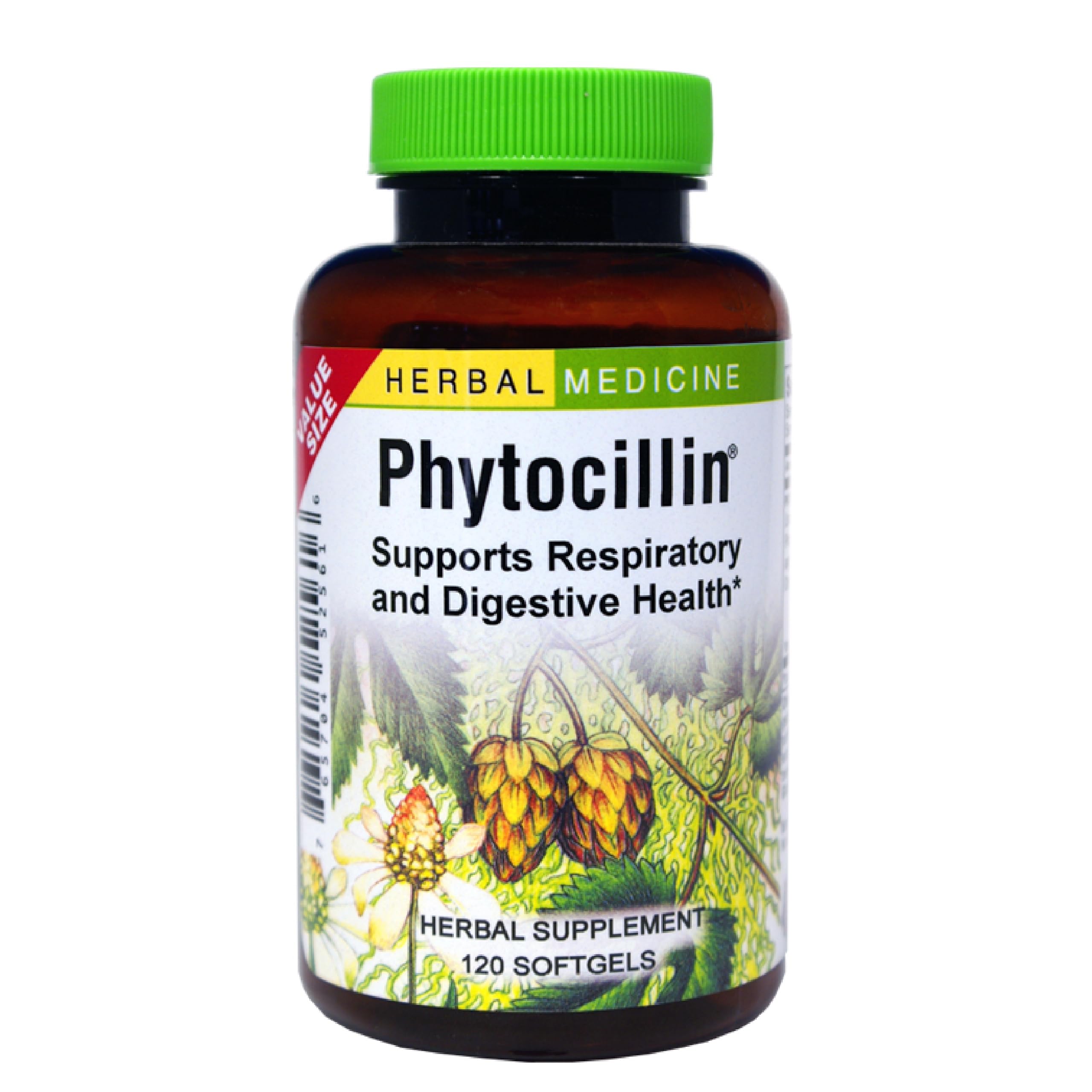 Herbs Etc. Phytocillin softgels close-up for digestive and respiratory support