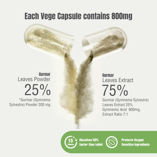 Herbsforever Gymnema Sylvestre extract 7 to 1 close-up highlights potency and full spectrum.