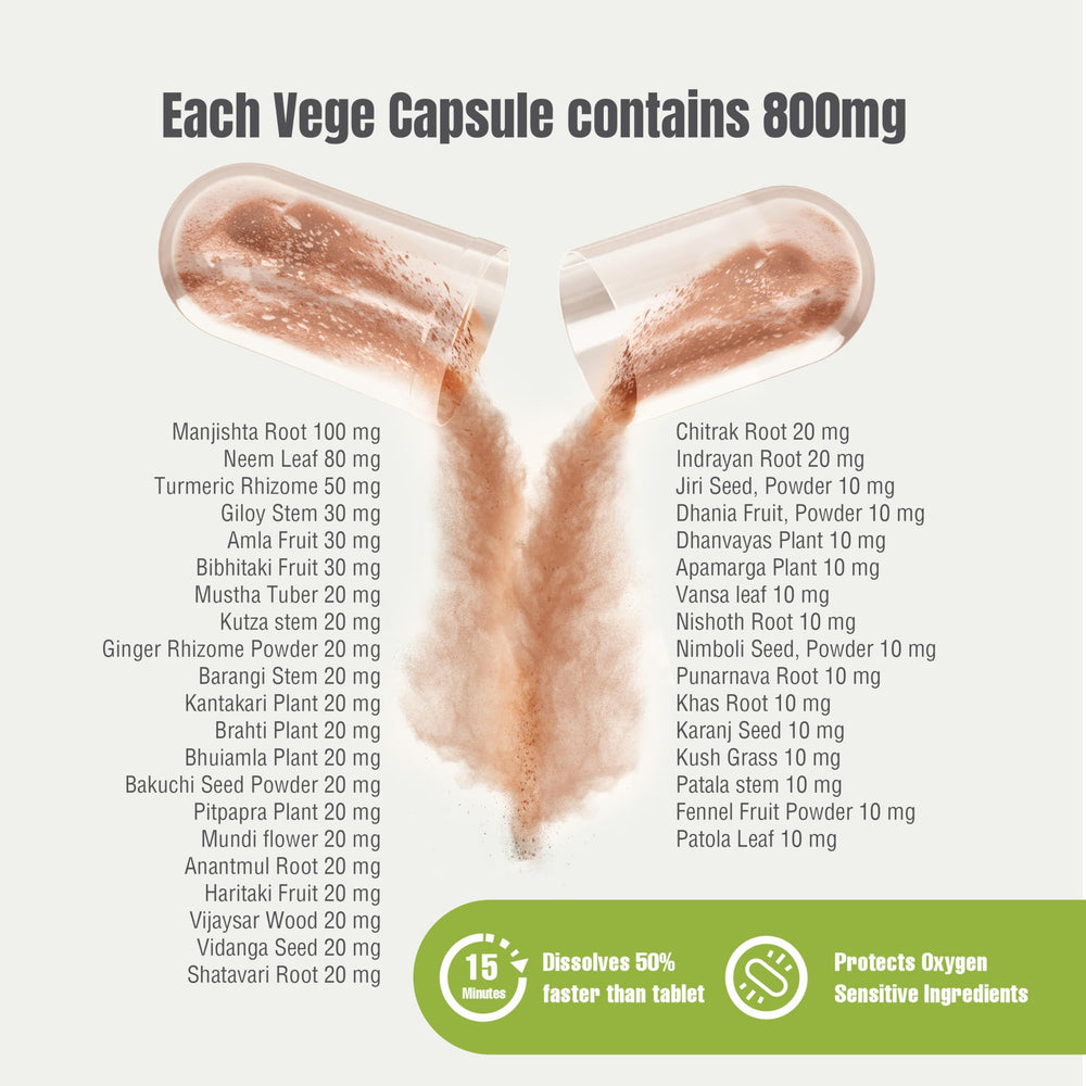 Herbsforever Manjishtadi Kwath capsules close-up – 800 mg per capsule