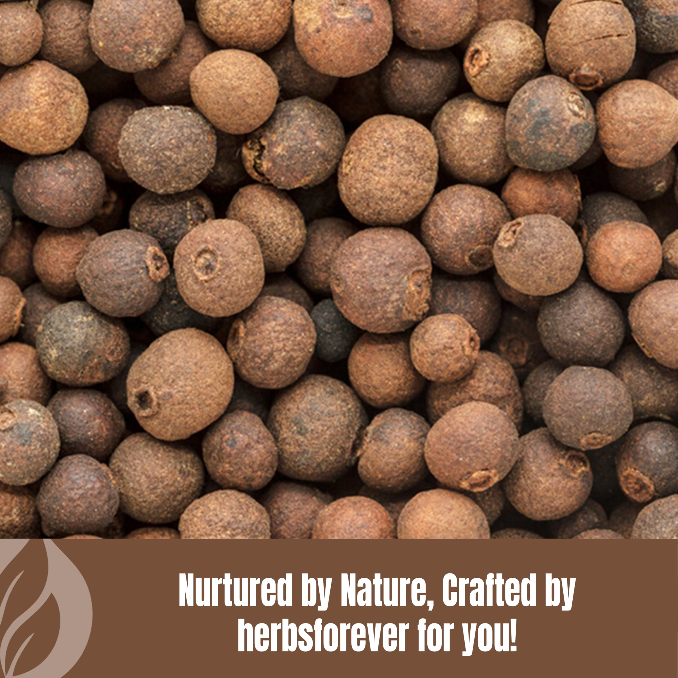 Close-up of Embelia Ribes fruit reflects traditional heritage behind the powder