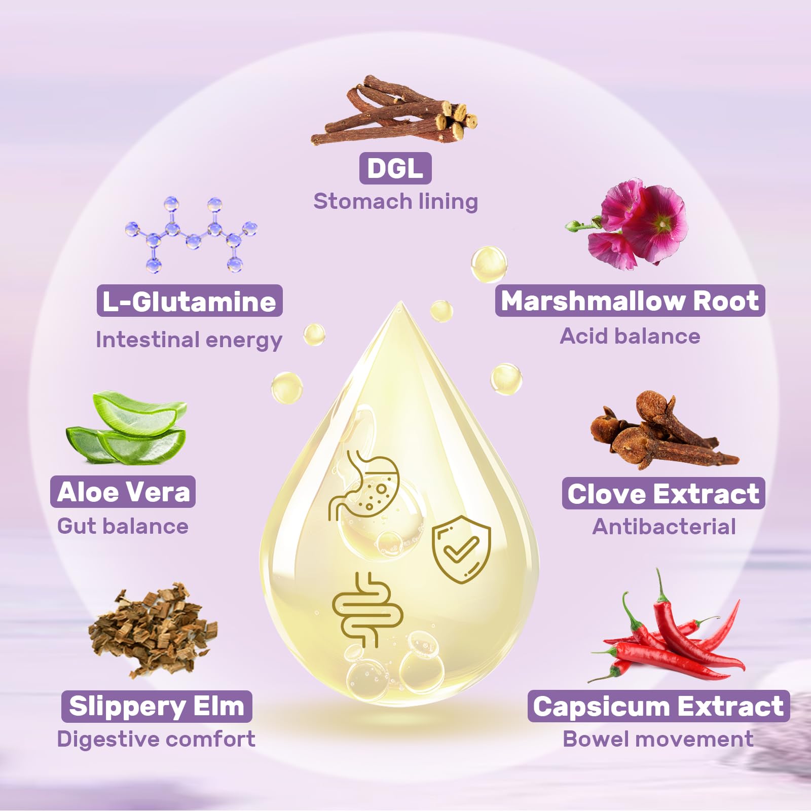 Hesperilyntis DGL ingredients listing licorice root and L-glutamine in plant blend.