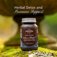 Hifas da Terra Mico-Five glass jar closeup emphasizes premium packaging and purity