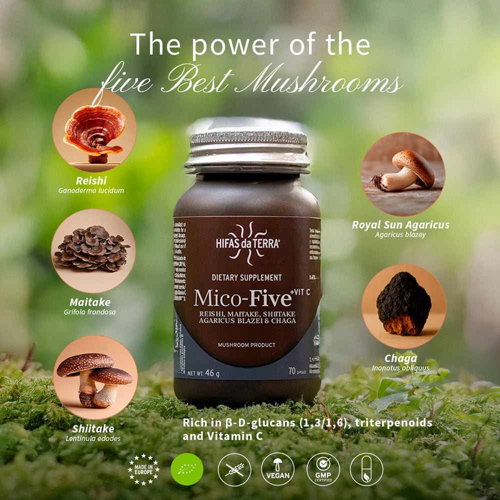 Hifas da Terra Mico-Five packaging on shelf conveys brand trust and plant-based wellness