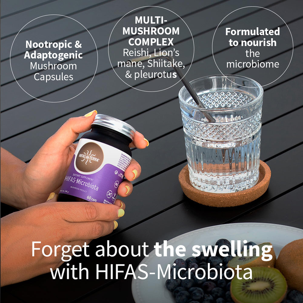 Hifas da Terra HIFAS-MICROBIOTA Lion’s Mane close-up emphasizing cognitive-support mushrooms