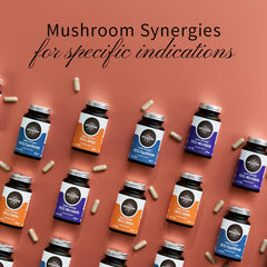 Hifas da Terra HIFAS-MICROBIOTA Pleurotus close-up emphasizes prebiotic-like support