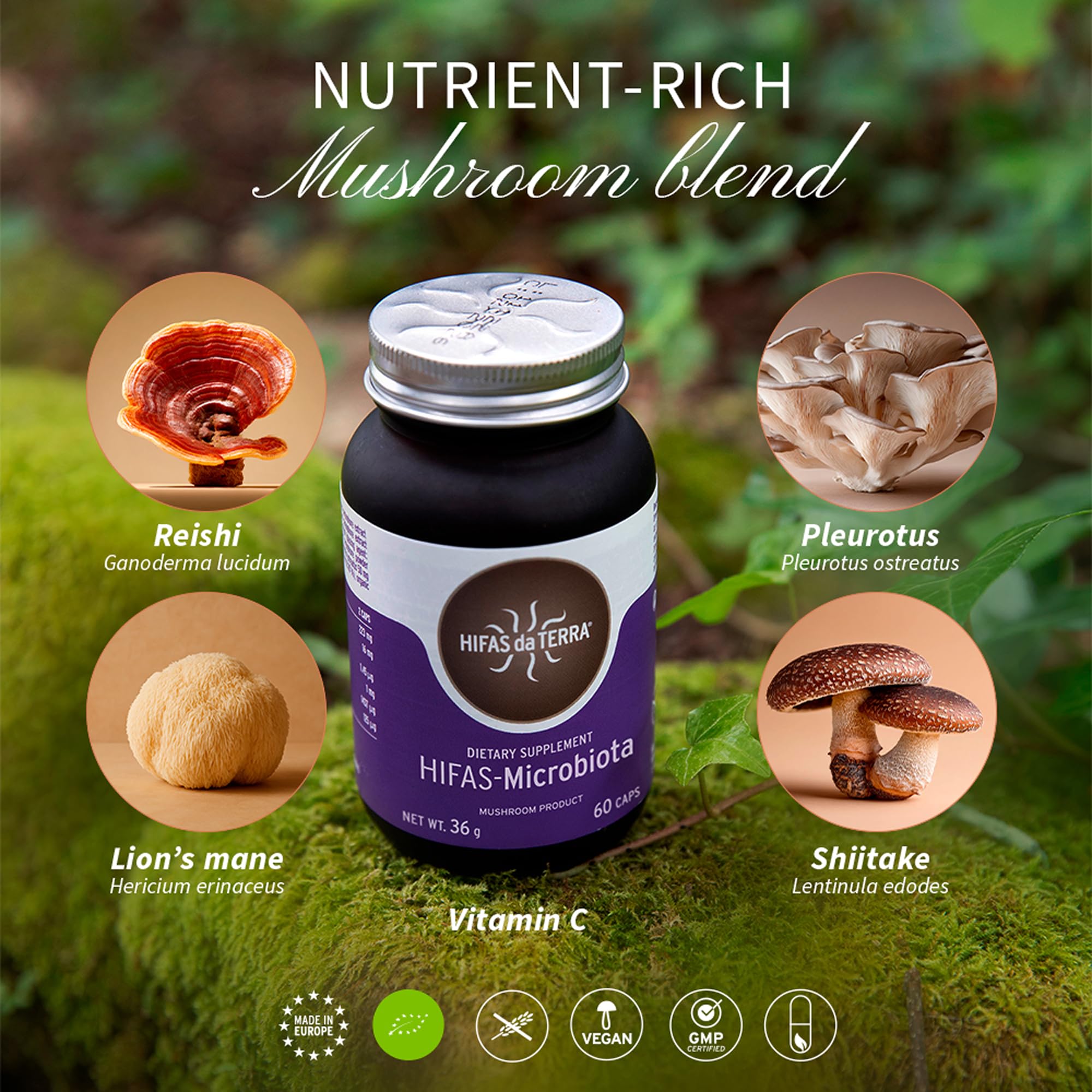 Hifas da Terra HIFAS-MICROBIOTA Shiitake close-up highlights nutrient-rich blend