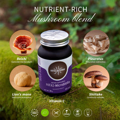 Hifas da Terra HIFAS-MICROBIOTA Shiitake close-up highlights nutrient-rich blend