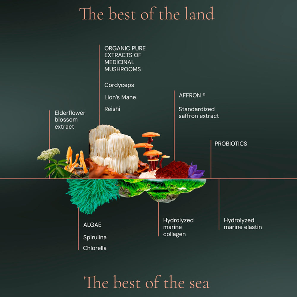 HIFAS DA TERRA skin health mushroom with marine collagen