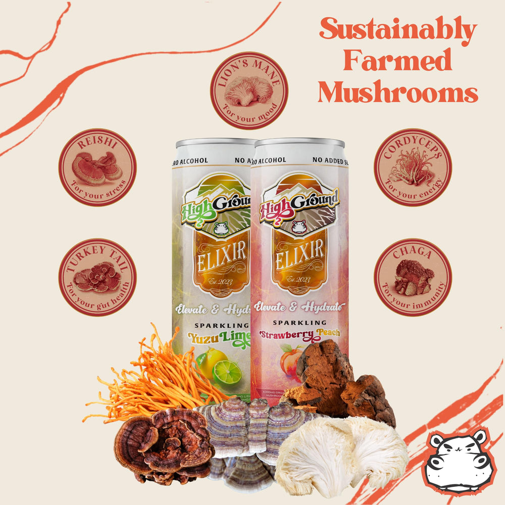 High Ground Elixir Cordyceps can showcases energizing, caffeine-free formula