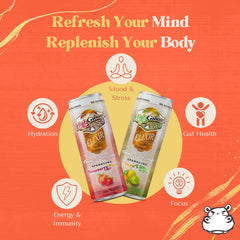 High Ground Elixir Reishi can emphasizes stress-relief adaptogenic blend