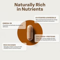 Higher Healths beef liver capsules label highlighting grass-fed origin for quality assurance.