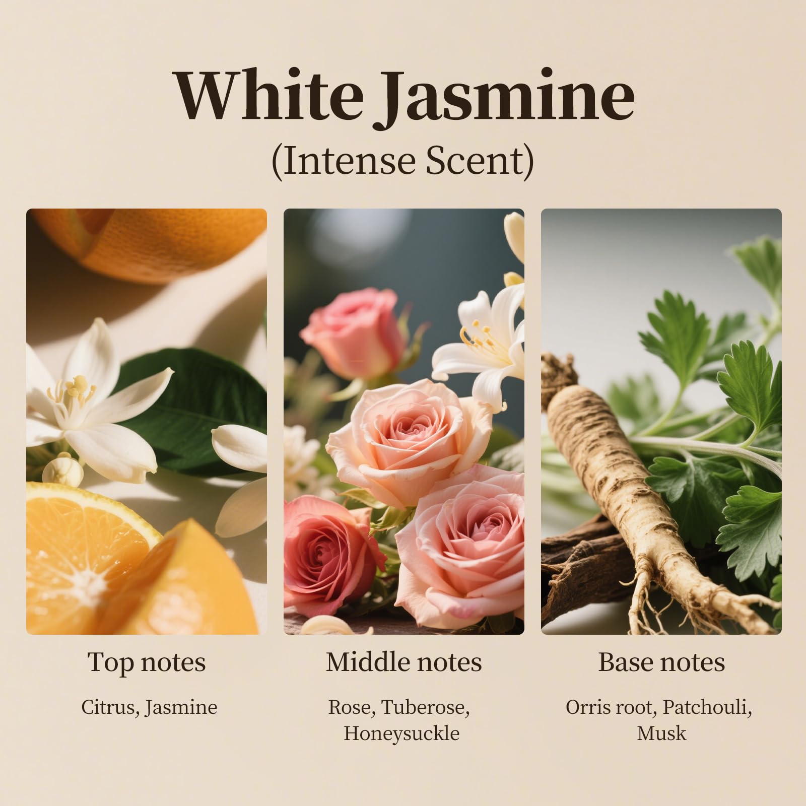 Hijoc oil for reed diffusers offers long-lasting aroma in living spaces