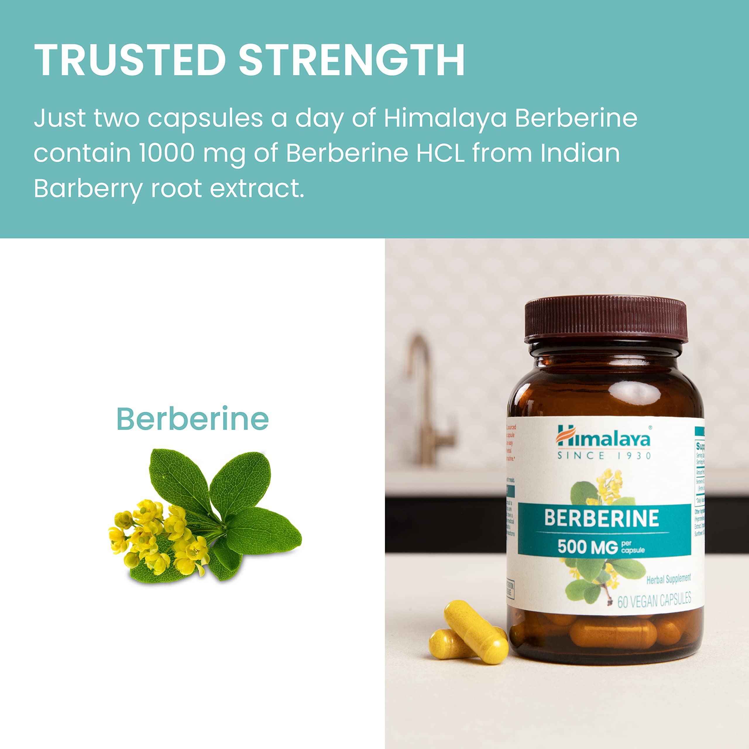 Himalaya Berberine Ayurveda heritage visuals emphasize trusted longevity for daily use.