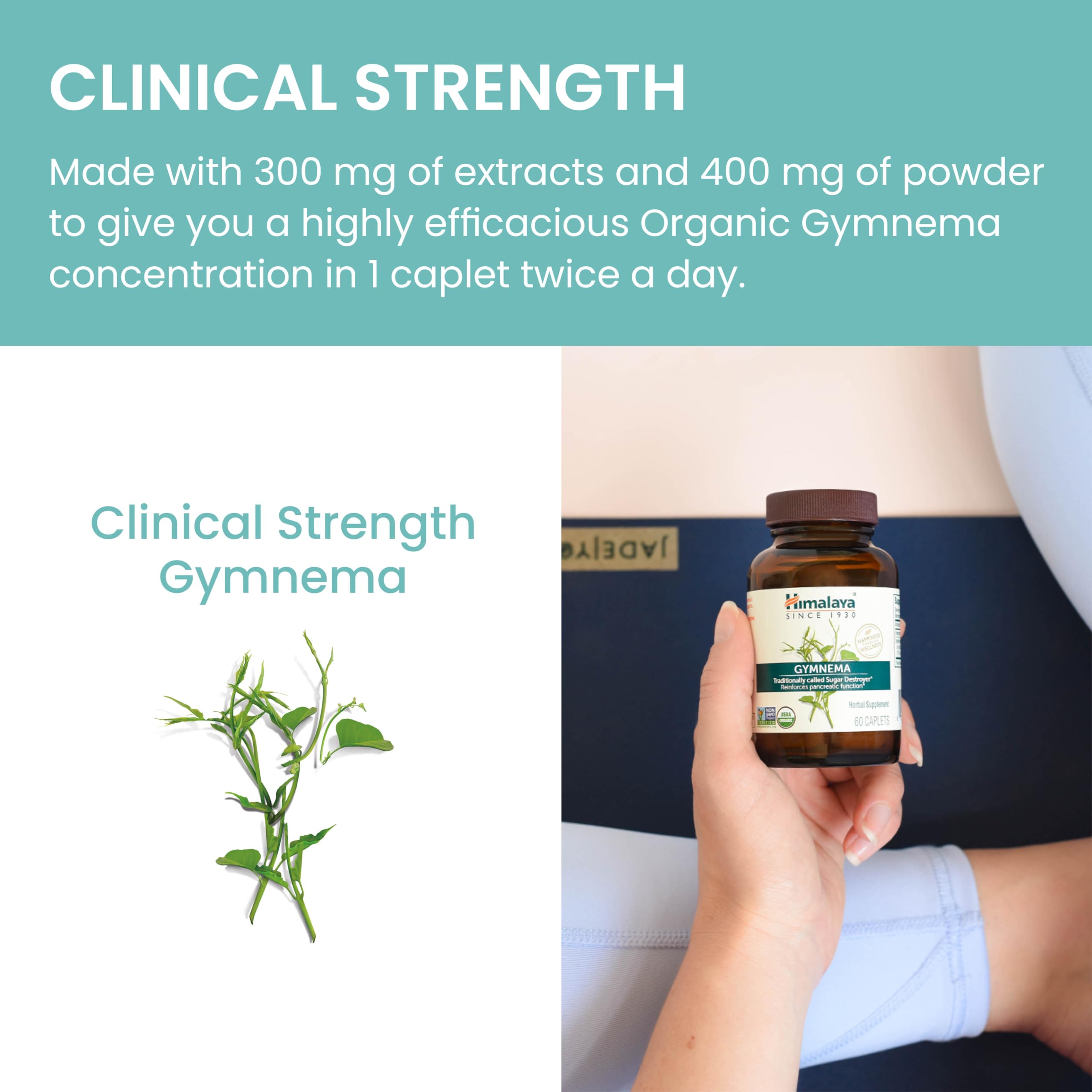 Capsule tray with Gymnema Sylvestre leaves reflecting plant-based content.