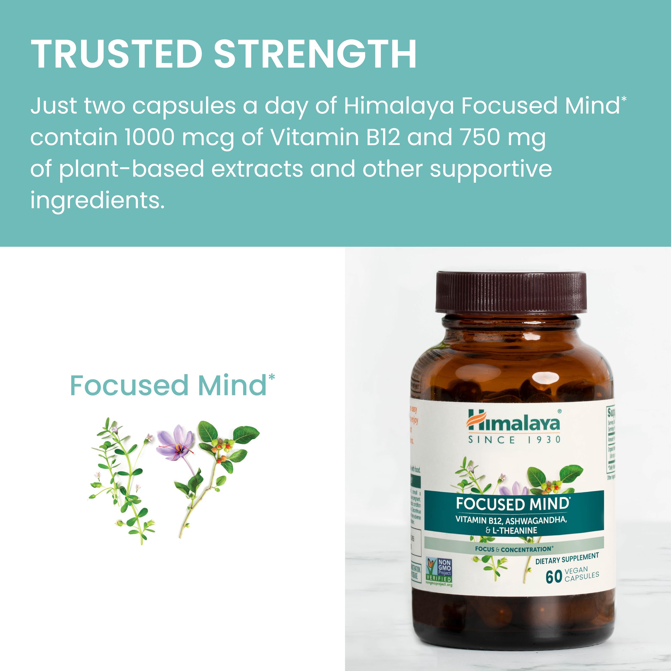 Himalaya Focused Mind packaging shows gluten-free and vegan indicators.