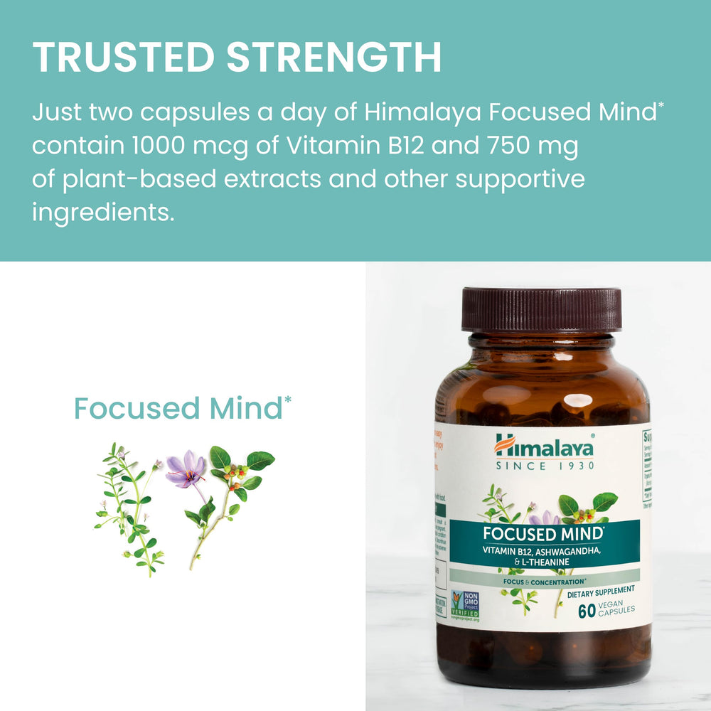 Himalaya Focused Mind packaging shows gluten-free and vegan indicators.