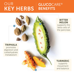 Himalaya GlucoCare Triphala and Turmeric ingredient panel