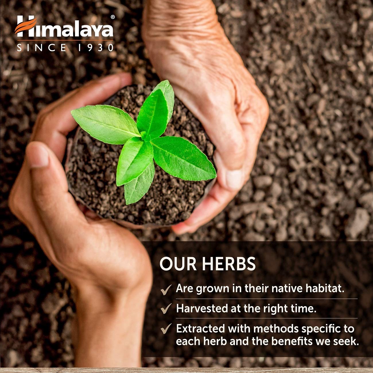 Himalaya HeartCare CGMP facility logo signaling quality and safety