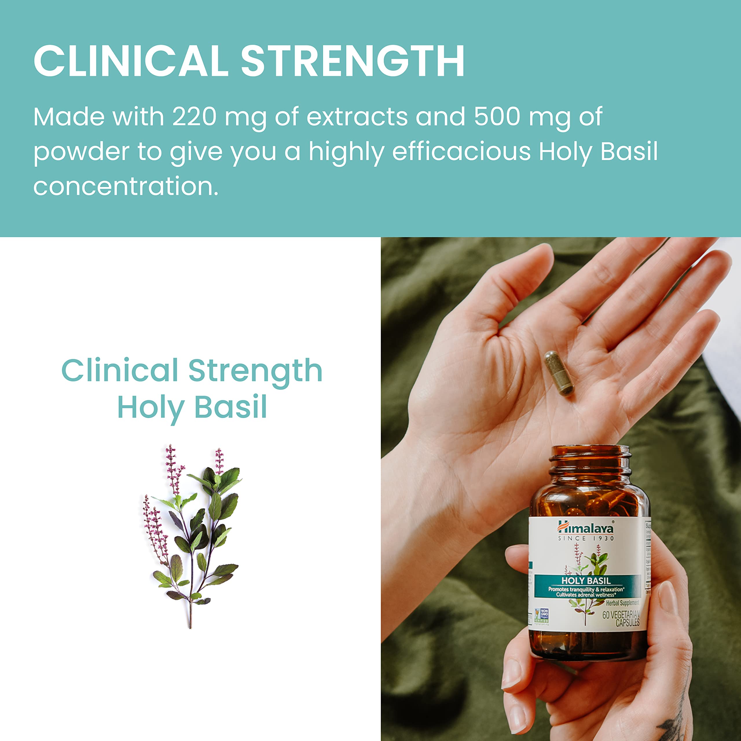 Himalaya Holy Basil vegan gluten-free label for dietary compatibility.