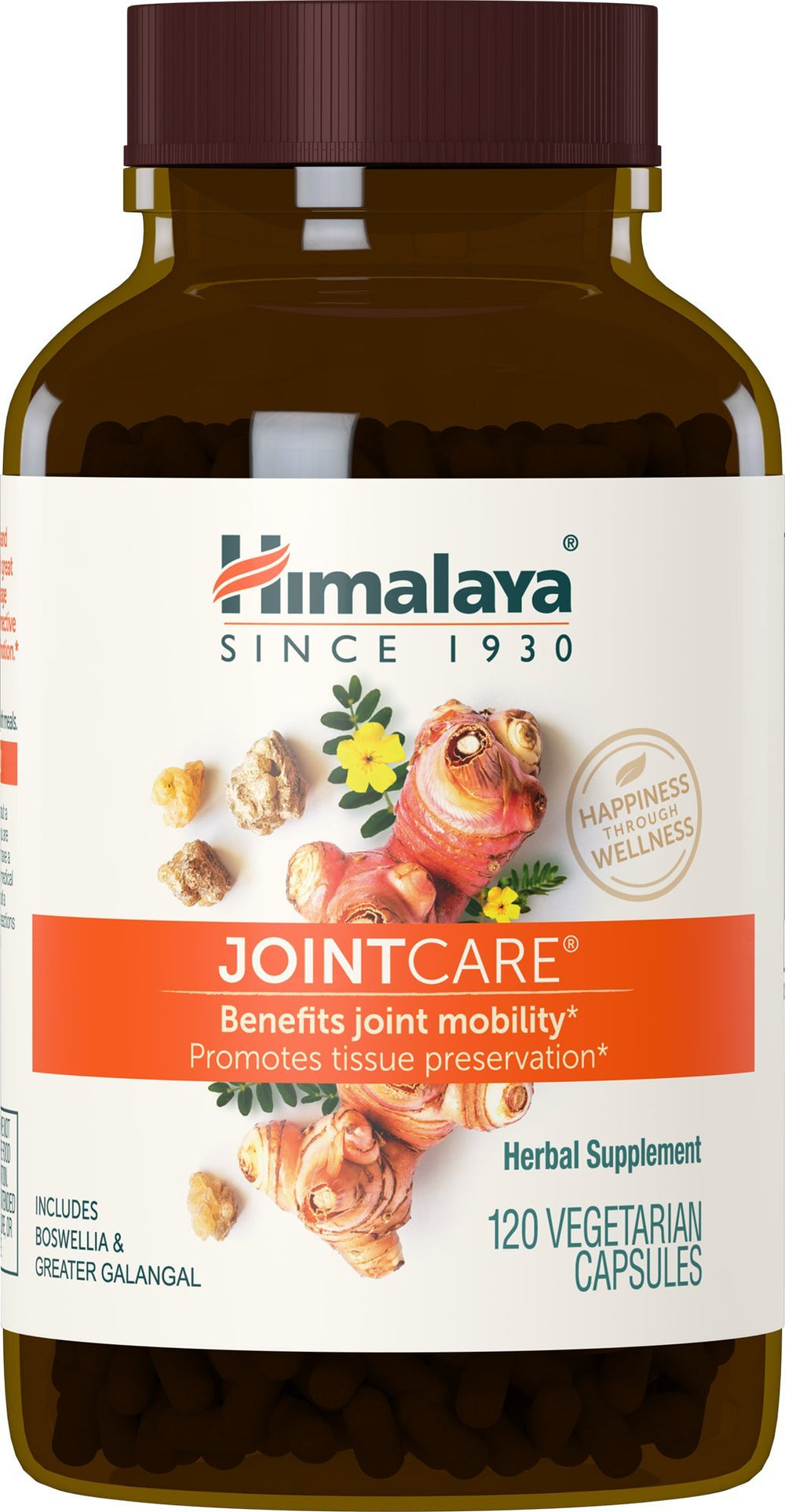 Himalaya JointCare bottle front showing branding and design for daily use