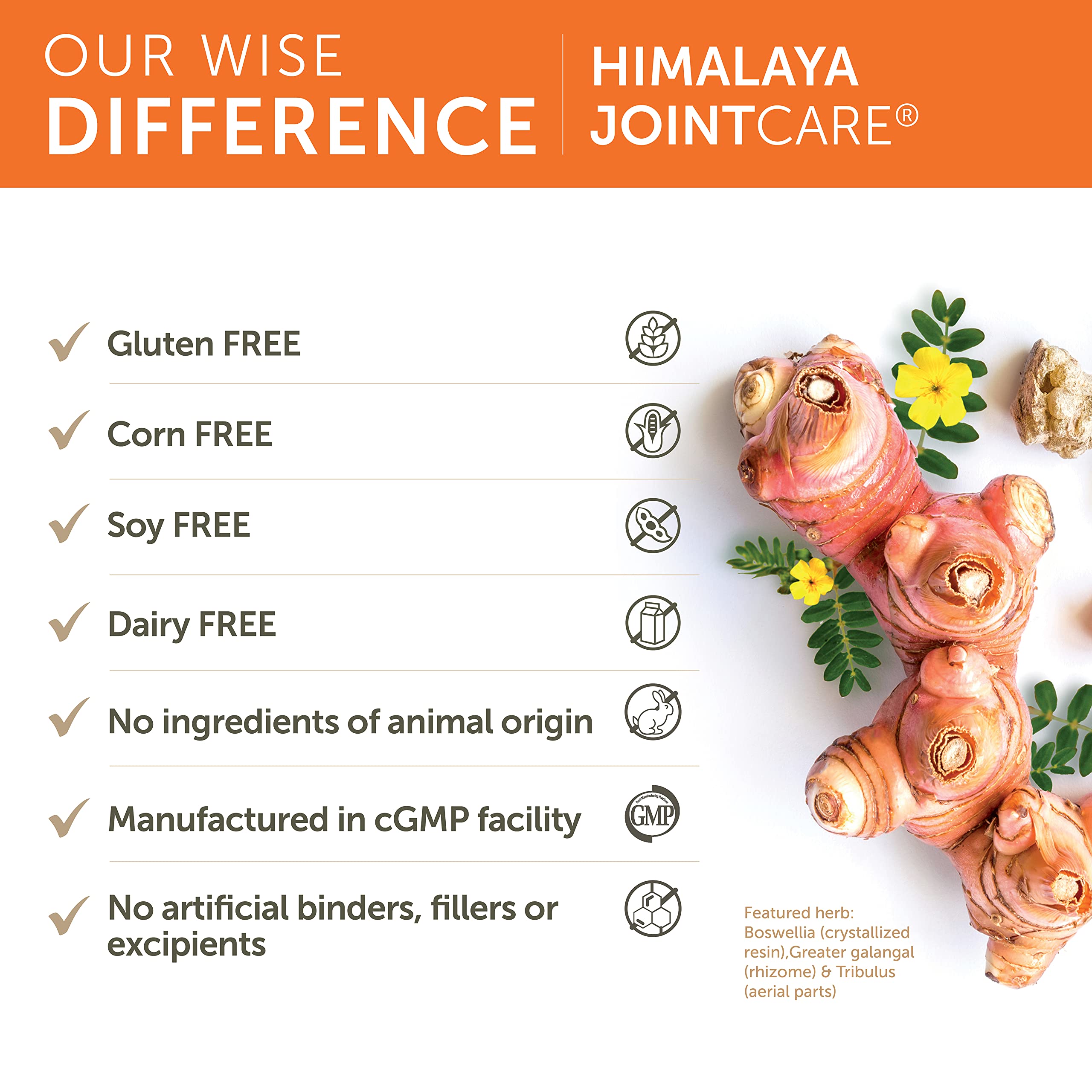 Himalaya JointCare box packaging with product branding