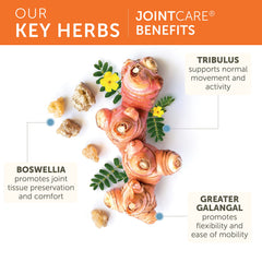Himalaya JointCare label closeup with ingredients and safety notes