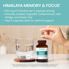 Citicoline and Ginkgo ingredients visible on Himalaya Memory & Focus bottle