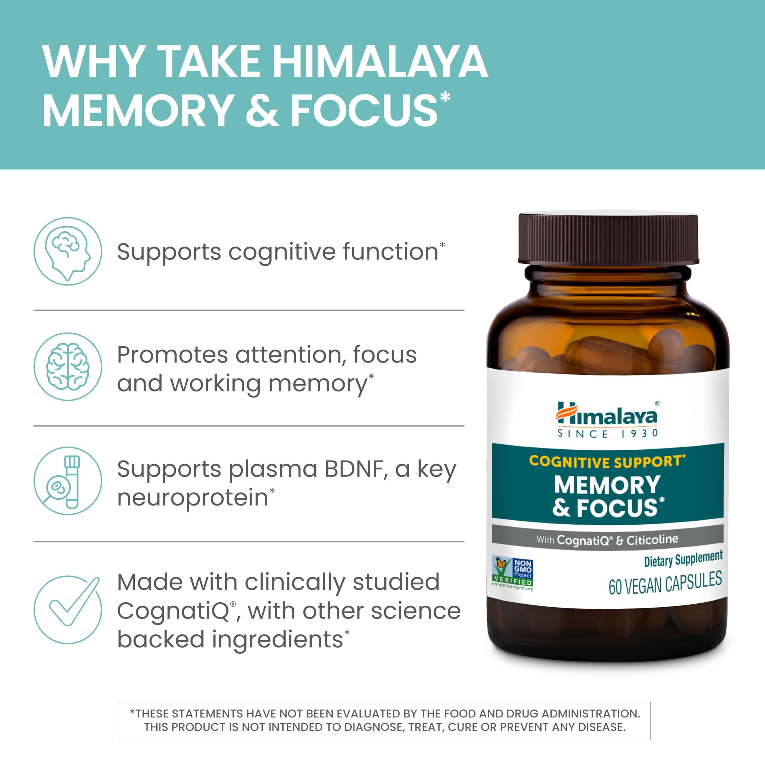 Ginkgo biloba tablet from Himalaya Memory & Focus for cognitive support