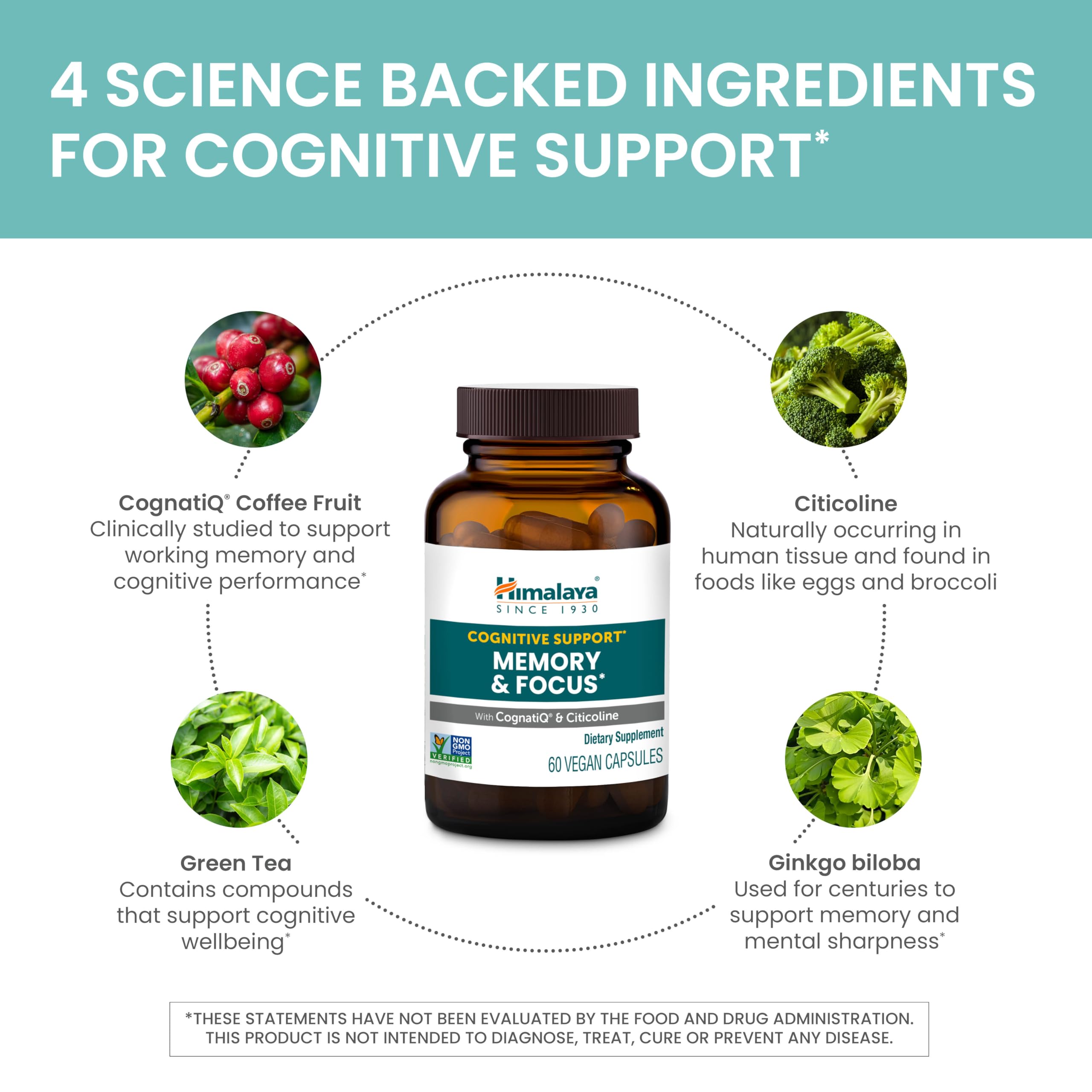 Vegan, non-GMO packaging of Himalaya Memory & Focus shown