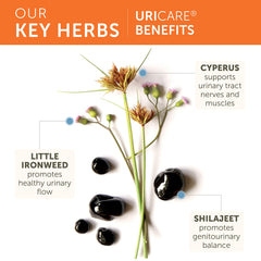Himalaya UriCare Ayurveda-inspired herbs like Cyperus for balance
