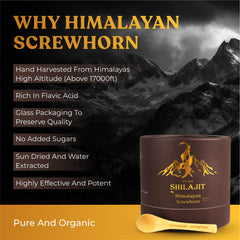 Himalayan Screwhorn Shilajit resin spoon depicts convenient serving with no fuss.