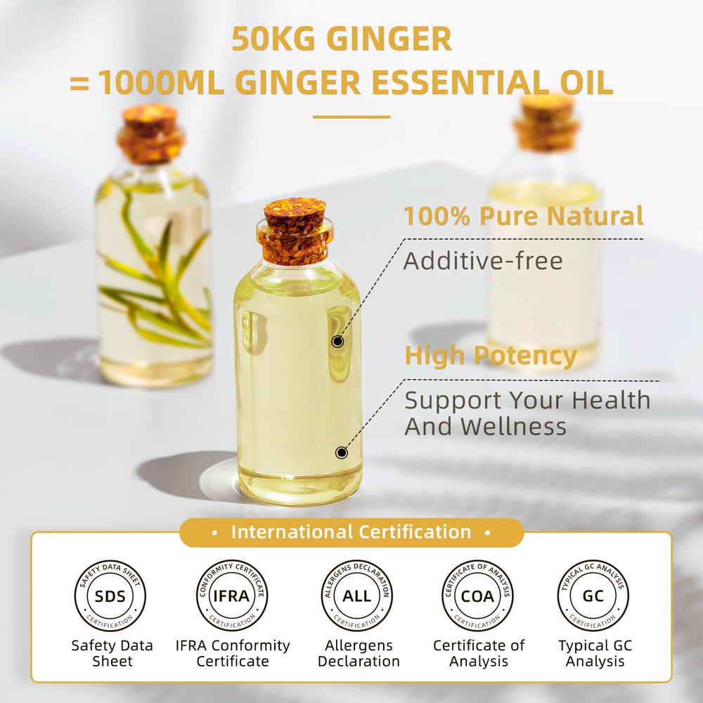 HIQILI Ginger Oil skincare use for soothing daily rituals