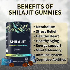 HLONNS Shilajit Gummy travel-ready pack for on-the-go use