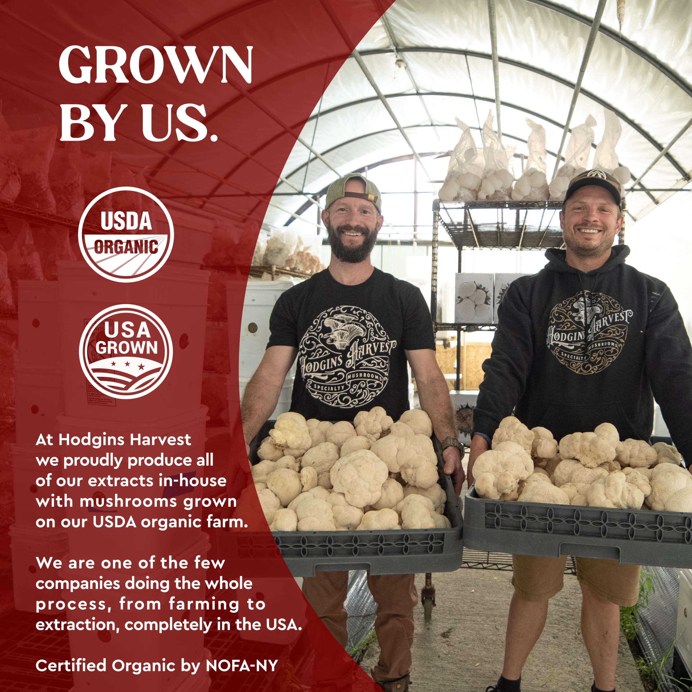 Hodgins Harvest dual extraction concept signals potency in tincture.