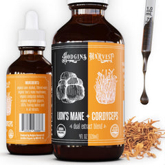 Hodgins Harvest organic Lion's Mane Cordyceps tincture bottle for daily focus