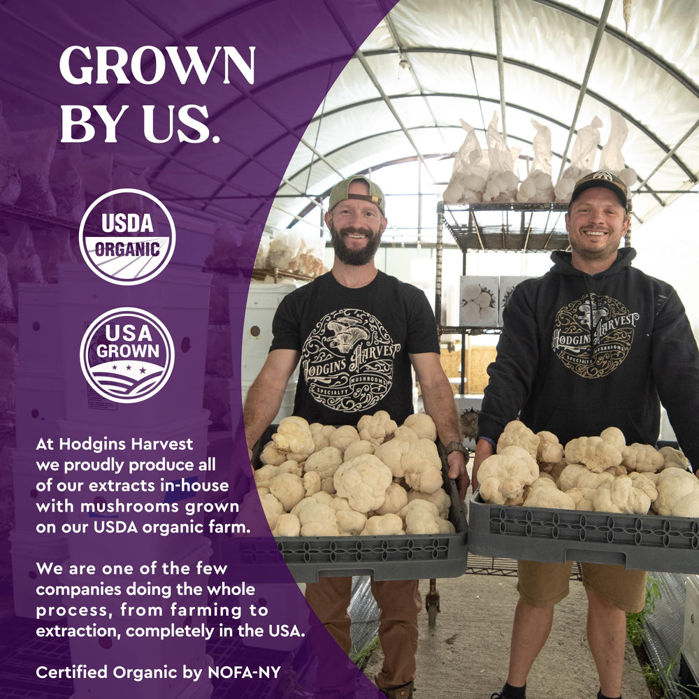 Hodgins Harvest organic turkey tail farm image highlighting farm-grown origin