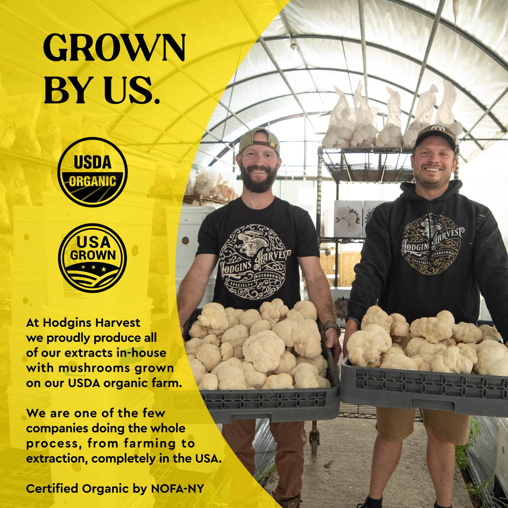 Hodgins Harvest US-grown organic mushrooms on a farm for authenticity