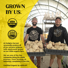 Hodgins Harvest US-grown organic mushrooms on a farm for authenticity