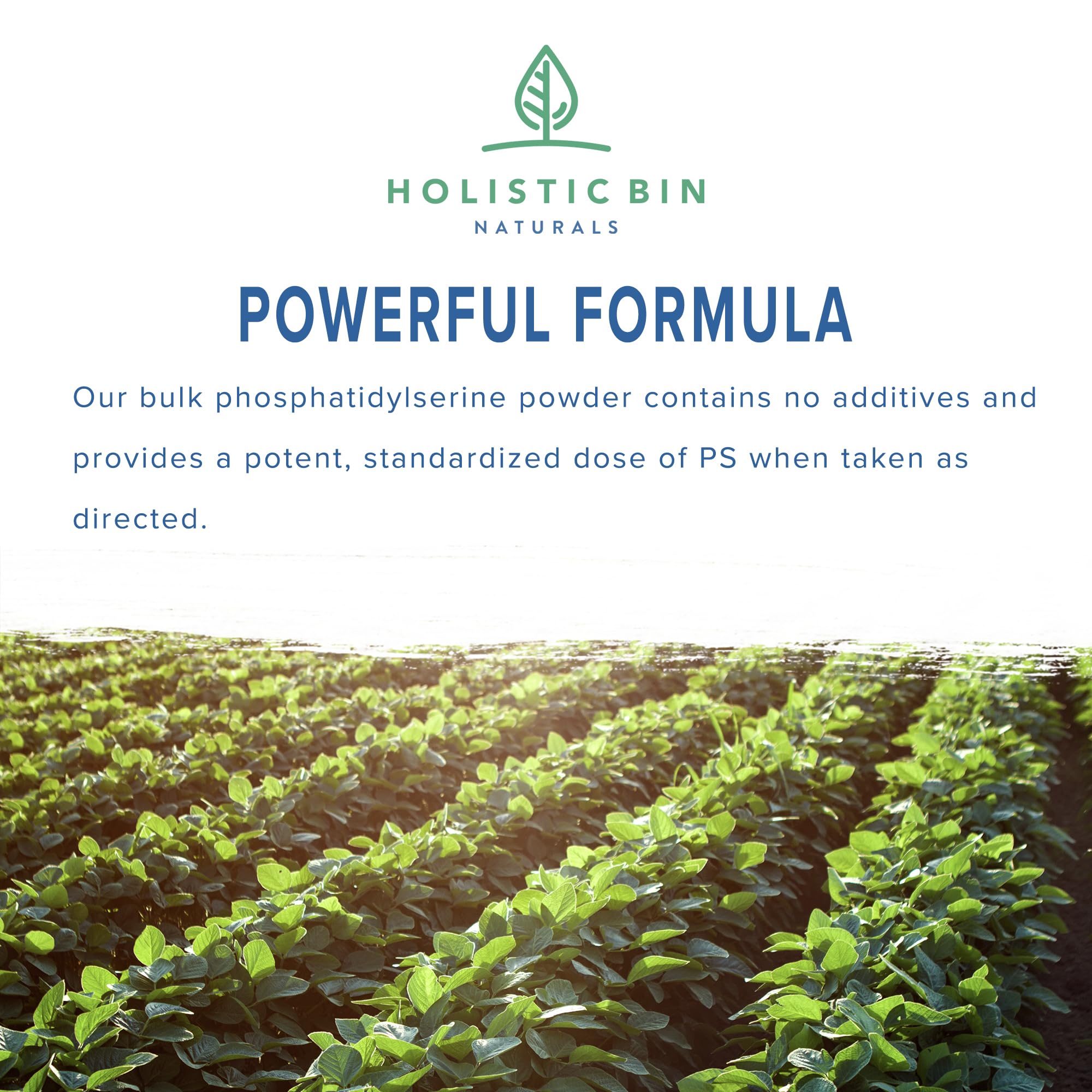 Holistic Bin phosphatidylserine powder scoop for daily routine