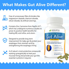 Holistic Health Labs Gut Alive ginger root highlight for soothing digestion.
