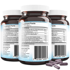 Vision Alive Max box by Holistic Health Labs; premium eye health formulation.