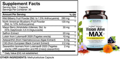 Holistic Health Labs Vision Alive Max capsules show a berry blend for daily eye resilience.