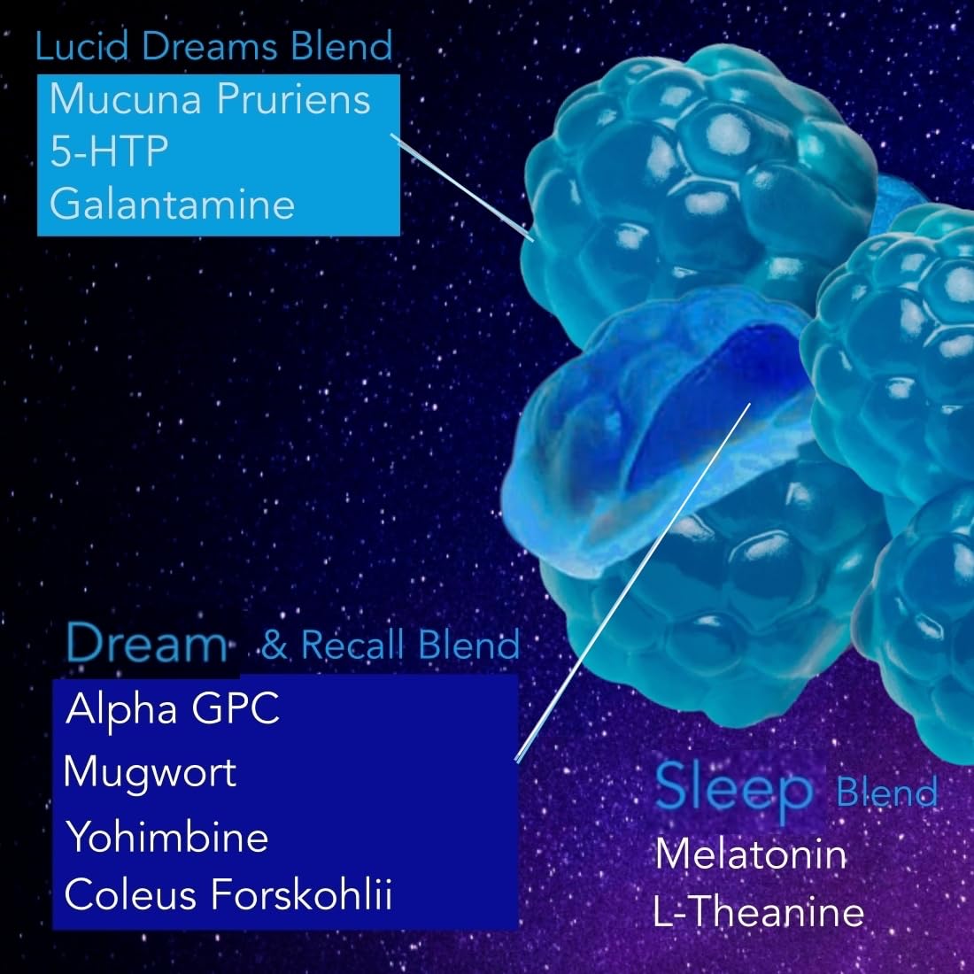 Holistic MD Lucid Dreams mucuna pruriens gummies support gentle night-time calm.