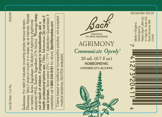 Holly essence bottle from Bach Flower Remedies promotes generous boundaries