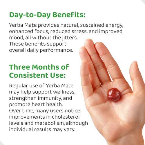 HOLYMARY Yerba Mate Gummies closeup with vibrant raspberries for sustained focus.