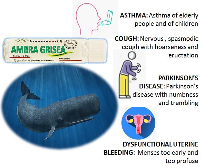 HomeoMart Ambra Grisea dosage guidance for adults and kids.