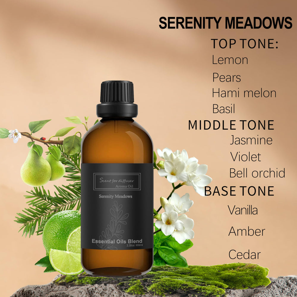 Homnas Serenity Meadows diffuser setup showcases elegant aroma for living spaces.