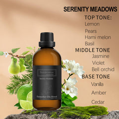 Homnas Serenity Meadows diffuser setup showcases elegant aroma for living spaces.