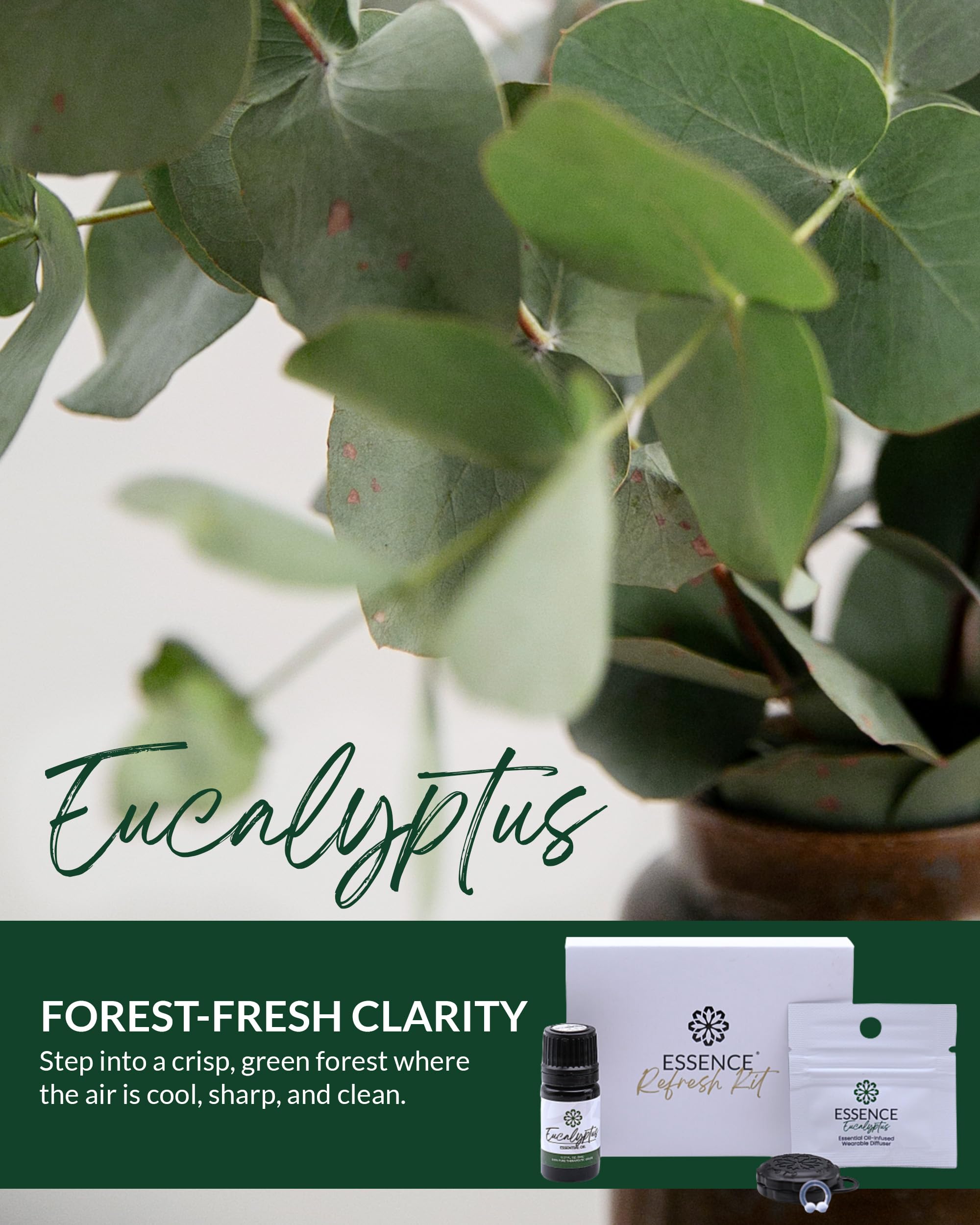 HONÉ Essence eucalyptus nose ring delivering forest-fresh clarity with inhalation.